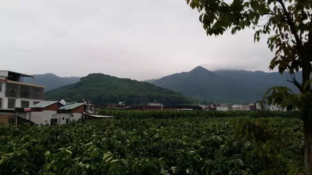 6402_看图çŽ?web.jpg