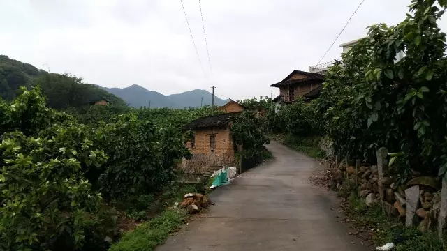 64018_看图çŽ?web.jpg