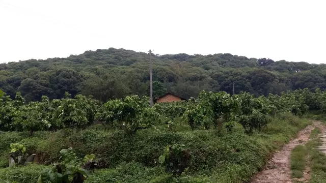 64019_看图çŽ?web.jpg